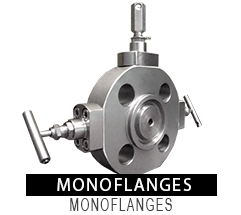 monoflanges valves uae dubai